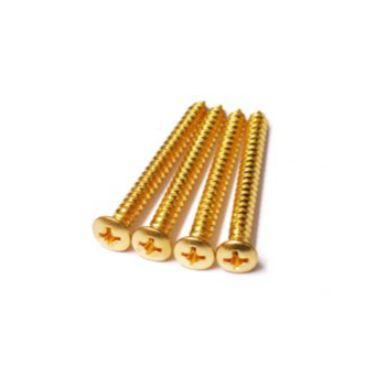 Neck Plate Screws